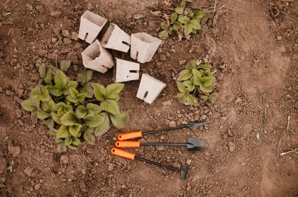 Why Washed Sand Is One of the Best Materials for Landscaping and Construction Projects in Calgary