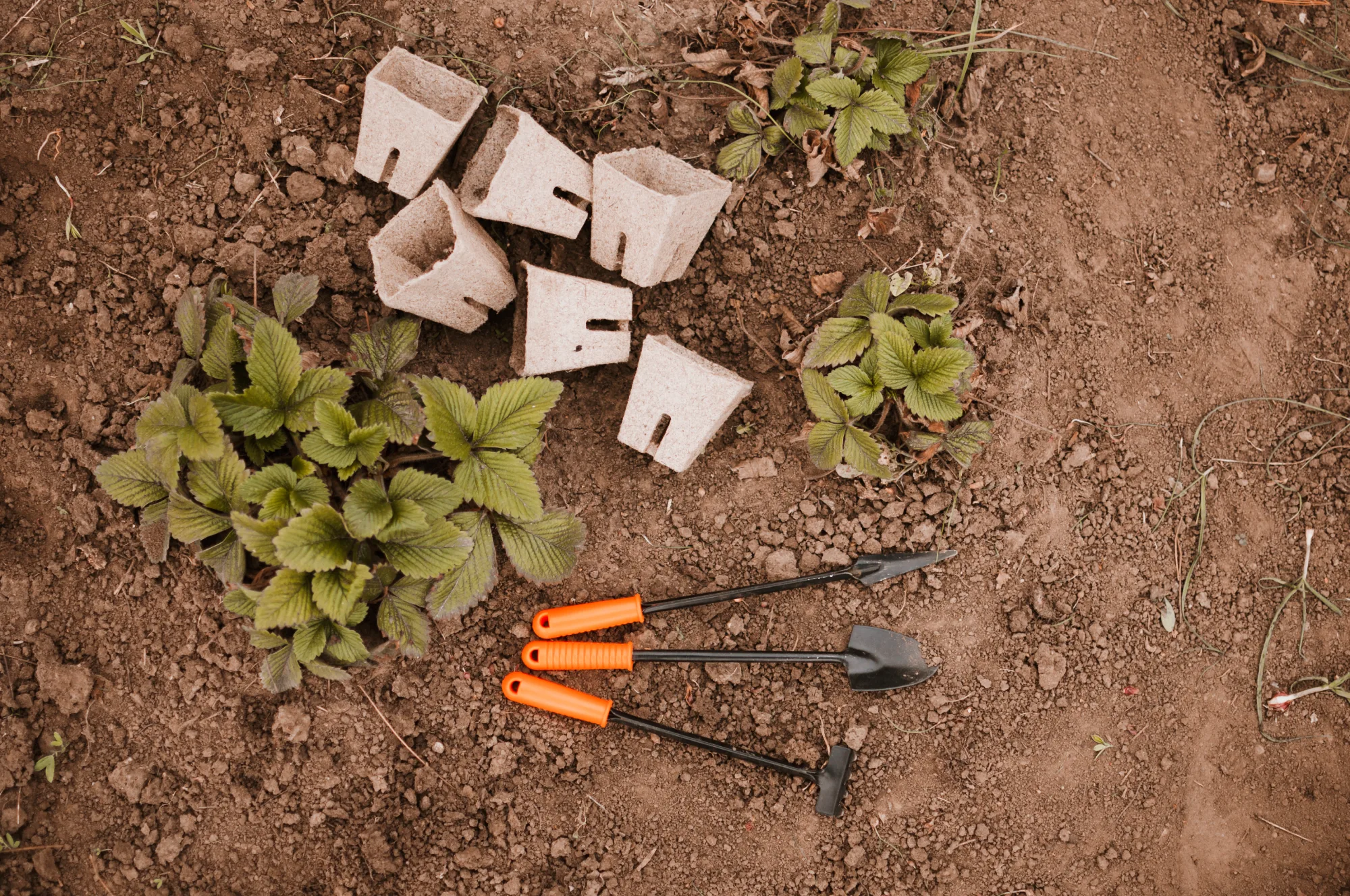 Why Washed Sand Is One of the Best Materials for Landscaping and Construction Projects in Calgary