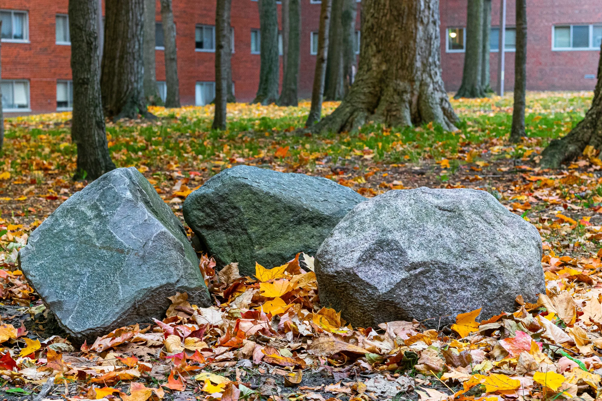 7 Practical Uses for 40 mm Washed Rock in Calgary Landscapes