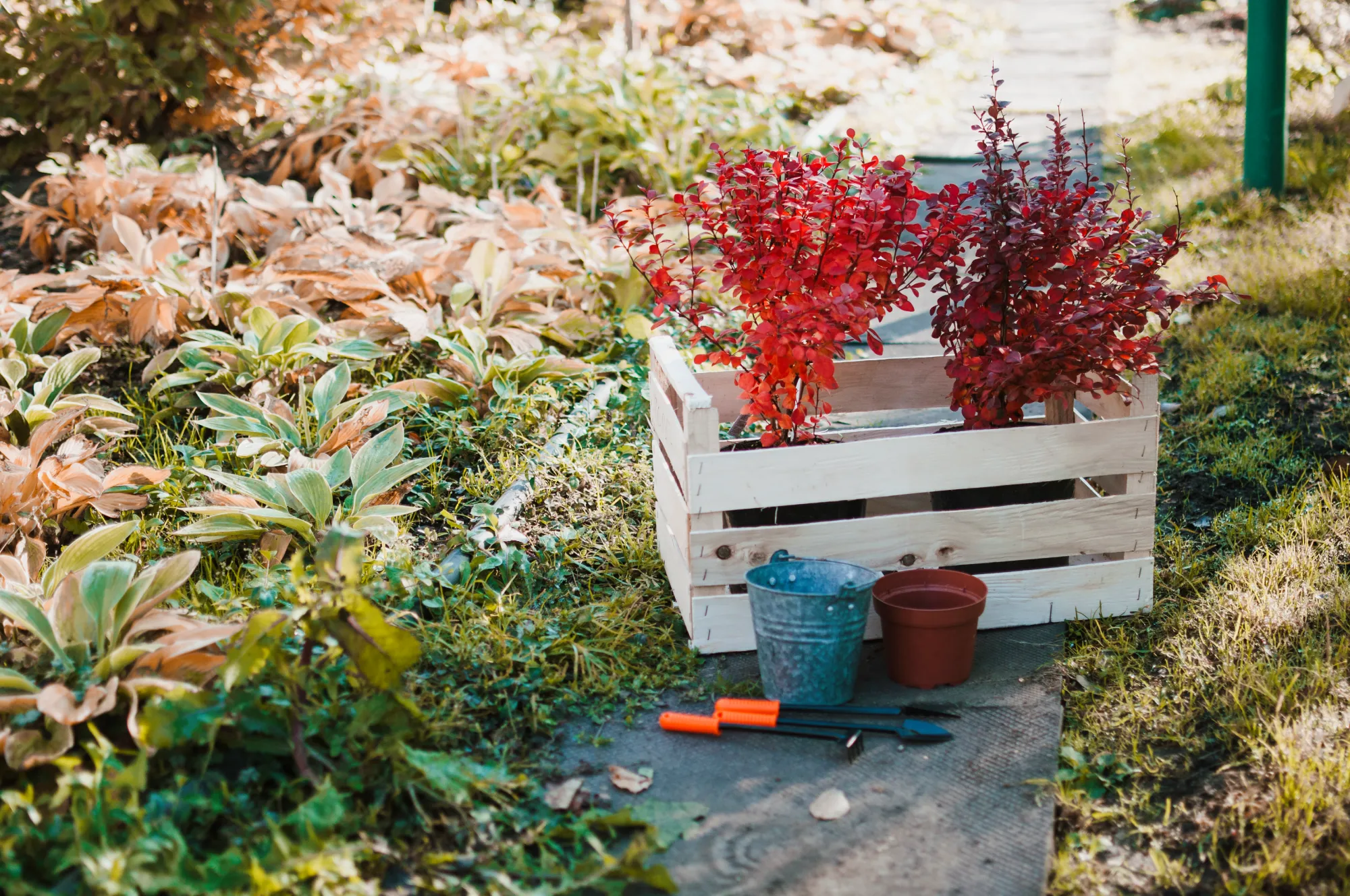 How to Choose the Right Garden Mix for Your Calgary Landscaping Project
