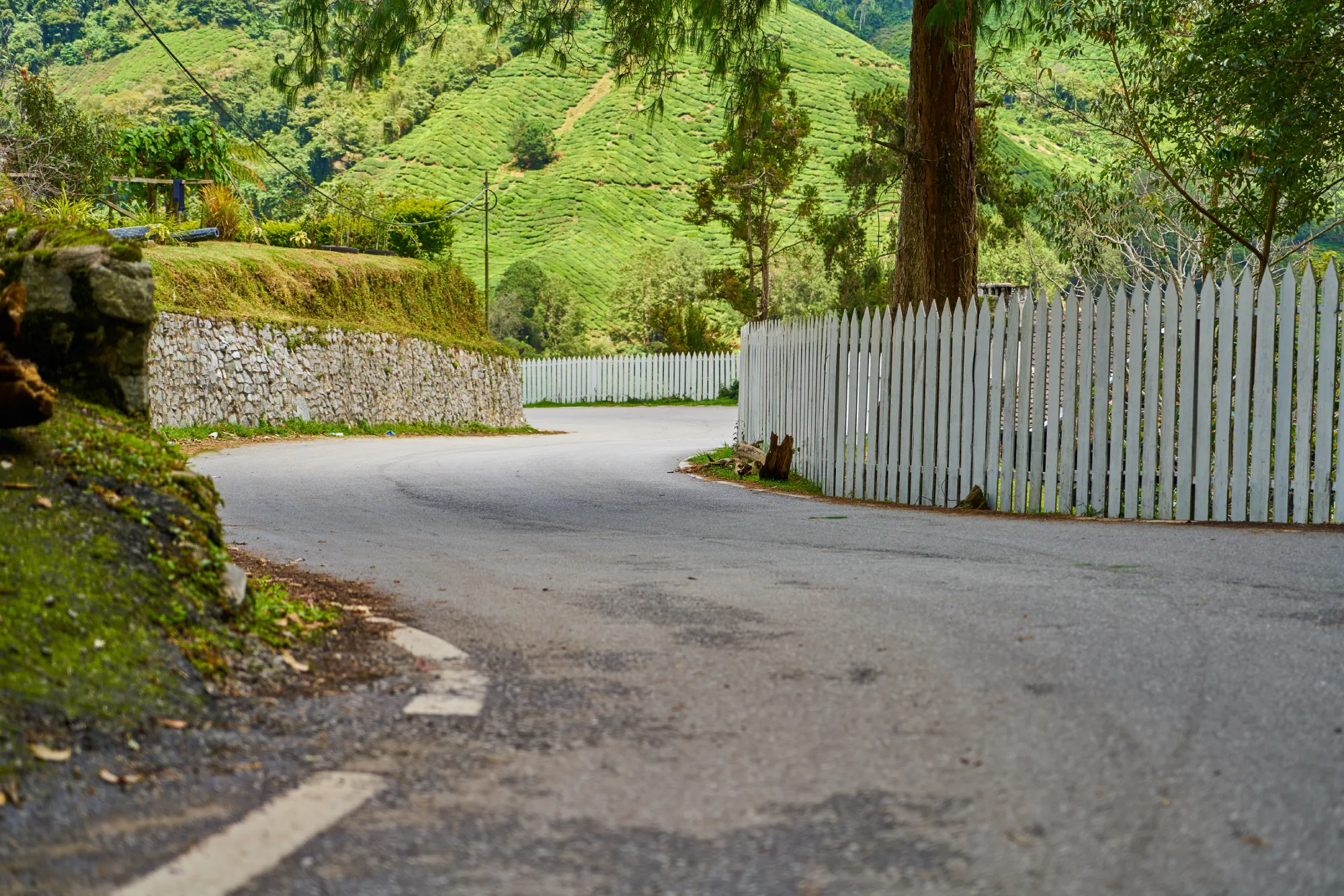 How to Choose Recycled Asphalt Gravel for Driveways and Access Roads in NE Calgary
